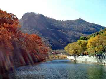 新澳天天开奖资料大全旅游团，木质纤维素